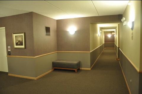 1675 Mill St #203, Des Plaines, IL 60016 photo 15