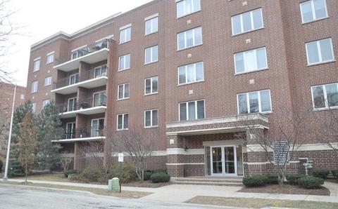 1675 Mill St #203, Des Plaines, IL 60016 photo 1