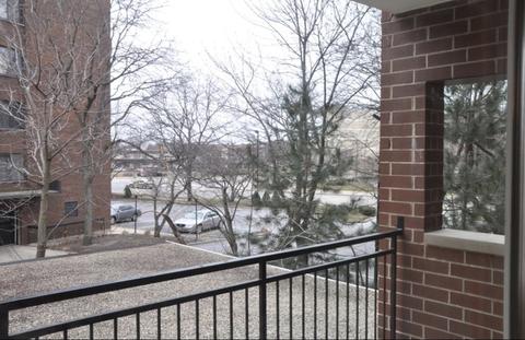 1675 Mill St #203, Des Plaines, IL 60016 photo 16