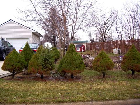 704 3rd Ave, Ottawa, IL 61350 photo 3