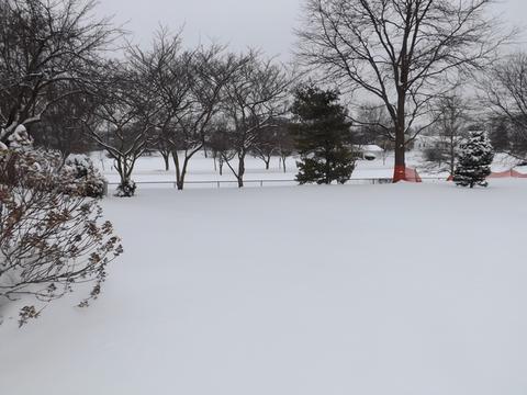 651 Darien Ct, Hoffman Estates, IL 60169 photo 20