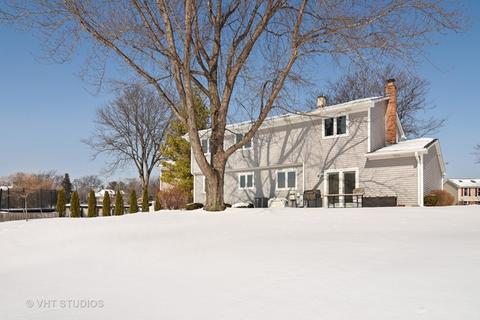4330 Haman Ct, Hoffman Estates, IL 60192 photo 16