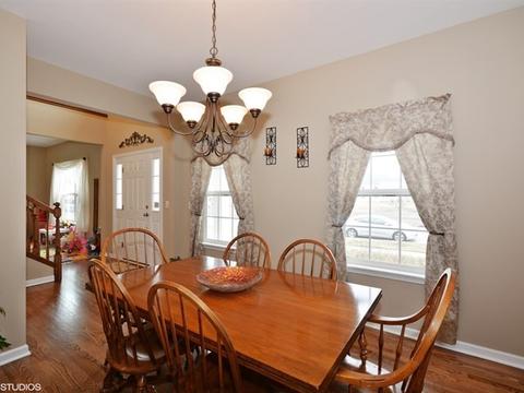 667 Slate Run, Elgin, IL 60124 photo 9