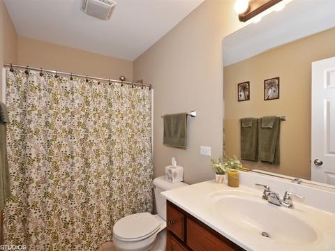 667 Slate Run, Elgin, IL 60124 photo 17