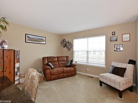 667 Slate Run, Elgin, IL 60124 photo 13