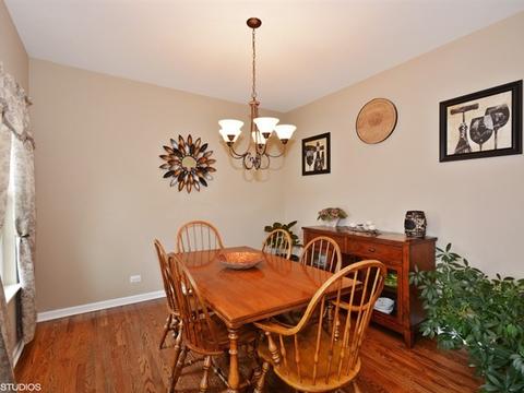 667 Slate Run, Elgin, IL 60124 photo 8
