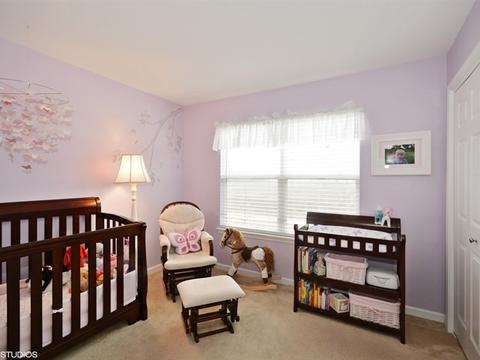 667 Slate Run, Elgin, IL 60124 photo 16