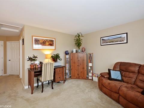 667 Slate Run, Elgin, IL 60124 photo 14