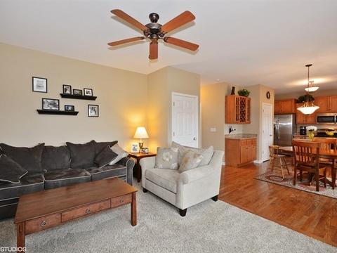 667 Slate Run, Elgin, IL 60124 photo 4