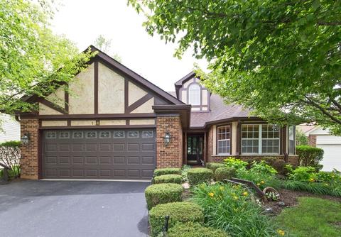 13490 Redberry Cir, Plainfield, IL 60544 photo 1