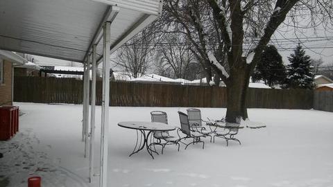 7724 S Sholer Ave, Bridgeview, IL 60455 photo 3