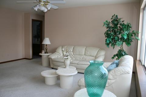 699 Greenfield Ct #A2, Bartlett, IL 60103 photo 4
