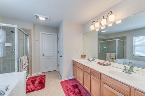12616 Blue Iris Ln, Plainfield, IL 60585 photo 19