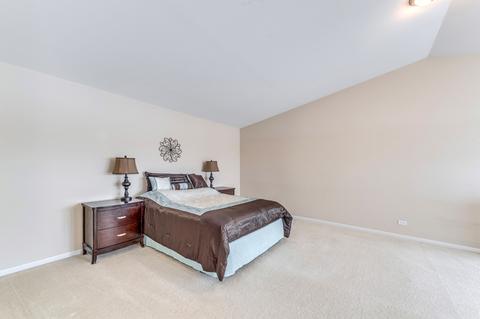 12616 Blue Iris Ln, Plainfield, IL 60585 photo 17