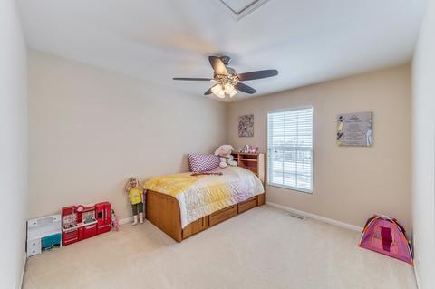 12616 Blue Iris Ln, Plainfield, IL 60585 photo 22