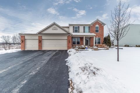 12616 Blue Iris Ln, Plainfield, IL 60585 photo 2
