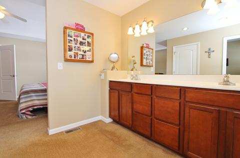 1351 Michael Ct, Morris, IL 60450 photo 18