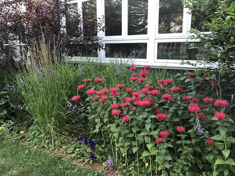 17620 Golfview Ave, Homewood, IL 60430 photo 3