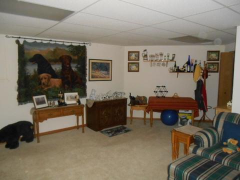 13753 S Hickory Ln, Plainfield, IL 60544 photo 18