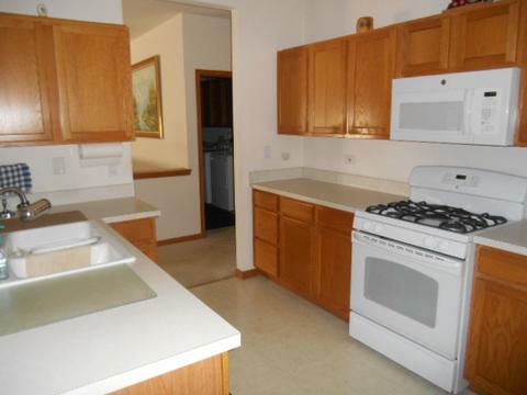 13753 S Hickory Ln, Plainfield, IL 60544 photo 3