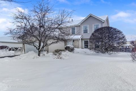 1802 Pebble Beach Dr, Plainfield, IL 60586 photo 1