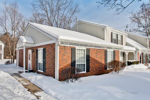 40 Silver Tree Cir, Cary, IL 60013 photo 3