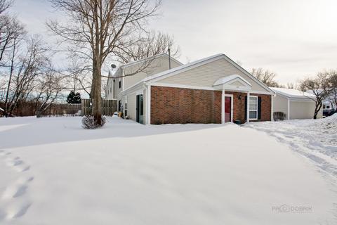 40 Silver Tree Cir, Cary, IL 60013 photo 23