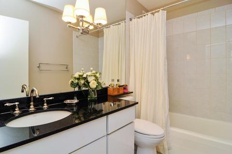 100 E Bellevue Pl #4D, Chicago, IL 60611 photo 8