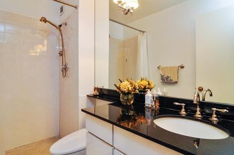 100 E Bellevue Pl #4D, Chicago, IL 60611 photo 10
