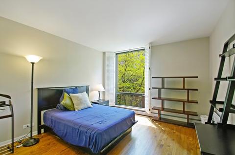 100 E Bellevue Pl #4D, Chicago, IL 60611 photo 9