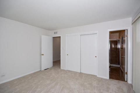 250 Springfield Ter, Des Plaines, IL 60018 photo 20