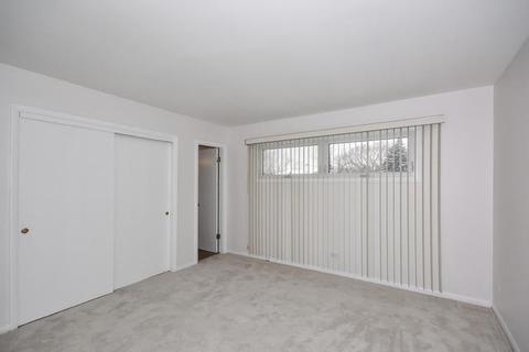 250 Springfield Ter, Des Plaines, IL 60018 photo 10