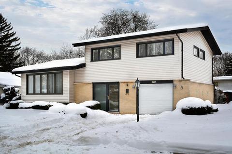 250 Springfield Ter, Des Plaines, IL 60018 photo 1