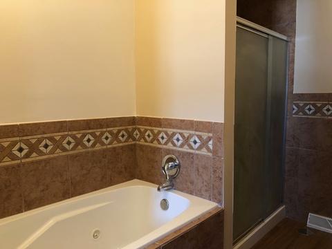 78 Graymoor Ln, Olympia Fields, IL 60461 photo 18