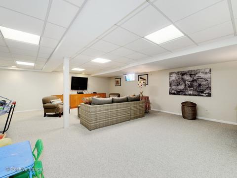 1307 Shady Ln, Wheaton, IL 60187 photo 24