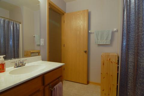 4206 Dillon St, Plano, IL 60545 photo 14