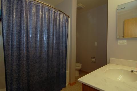 4206 Dillon St, Plano, IL 60545 photo 15