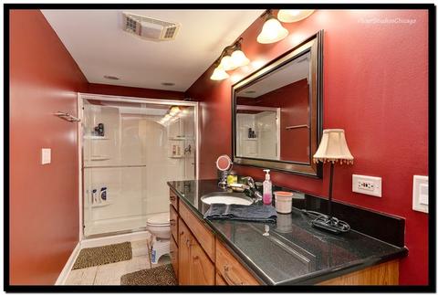 480 E Belmont Ave, Addison, IL 60101 photo 29