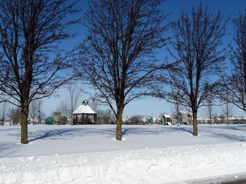 3611 Hyde Park Ct, Elgin, IL 60124 photo 49