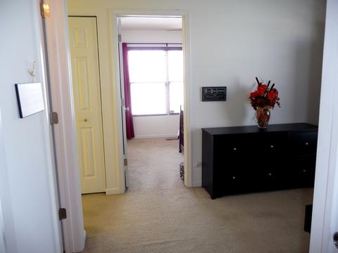 3611 Hyde Park Ct, Elgin, IL 60124 photo 32