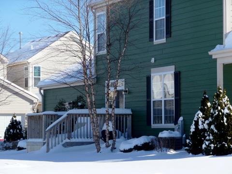 3611 Hyde Park Ct, Elgin, IL 60124 photo 43