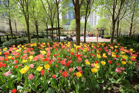 450 E Waterside Dr #202, Chicago, IL 60601 photo 23