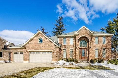 16 W734 87th St, Willowbrook, IL 60527 photo 1