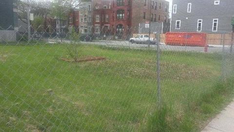 1033 E 43rd St, Chicago, IL 60653 photo 3