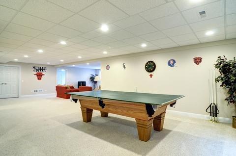13101 Skyline Dr, Plainfield, IL 60585 photo 24