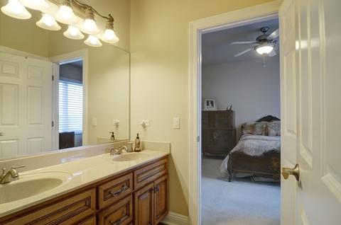 13101 Skyline Dr, Plainfield, IL 60585 photo 20