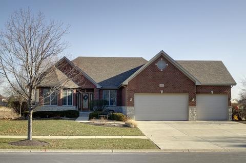 13101 Skyline Dr, Plainfield, IL 60585 photo 1