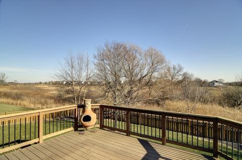 13101 Skyline Dr, Plainfield, IL 60585 photo 33