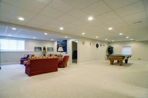 13101 Skyline Dr, Plainfield, IL 60585 photo 28