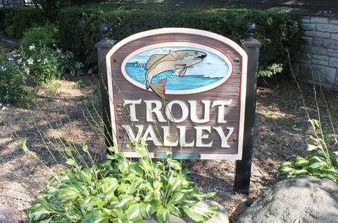 172 Stonegate Rd, Trout Valley, IL 60013 photo 17